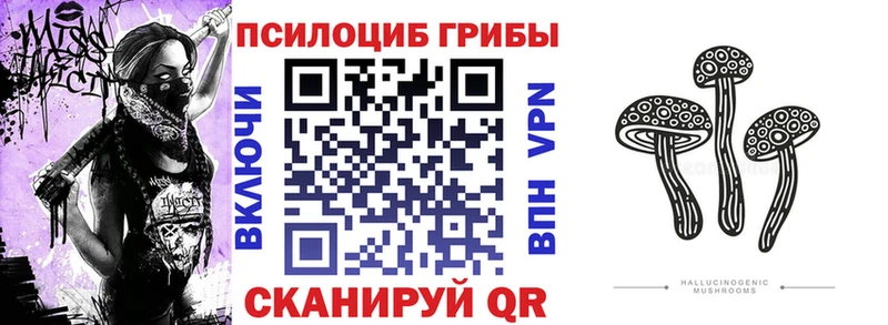 Галлюциногенные грибы GOLDEN TEACHER Бородино