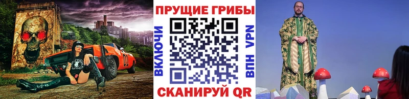даркнет телеграм  Бородино  Псилоцибиновые грибы мицелий 